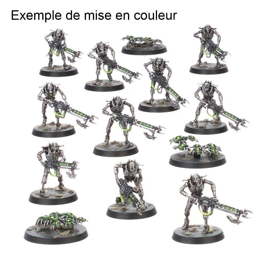 Warhammer  guerriers Nécrons et Scarab Swam, Hobby & Loisirs créatifs, Wargaming, Neuf, Warhammer, Envoi