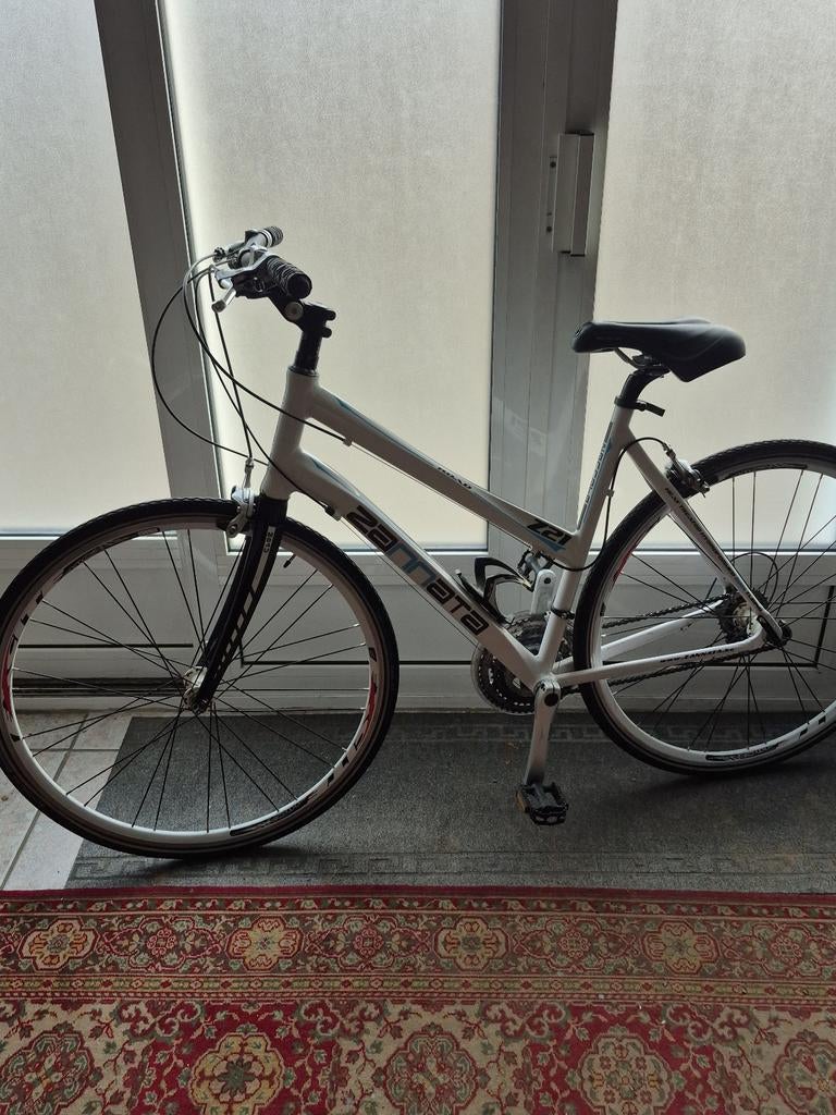 Racefiets  koersfiets dames, Ophalen of Verzenden