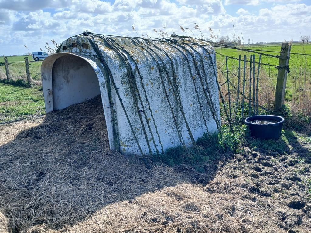 Iglo schuilhok te koop.