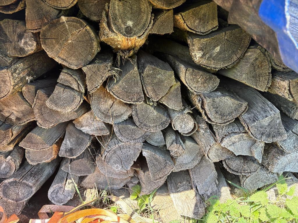bois de chauffage chêne sec, 6 m³ ou plus, Enlèvement, Chêne