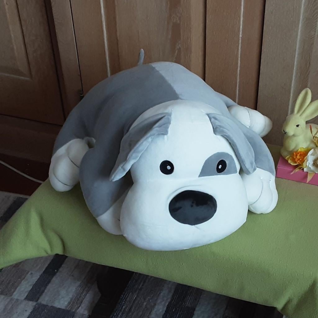 SPLINTERNIEUW KUSSEN + PLAID = superschattige knuffel hondje, Enlèvement ou Envoi, Neuf, Oreiller