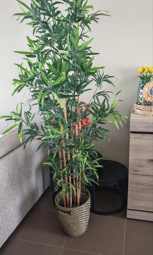 Kunstplant, Huis en Inrichting, Woonaccessoires | Kunstplanten en Kunstbloemen, Ophalen, Kunstplant