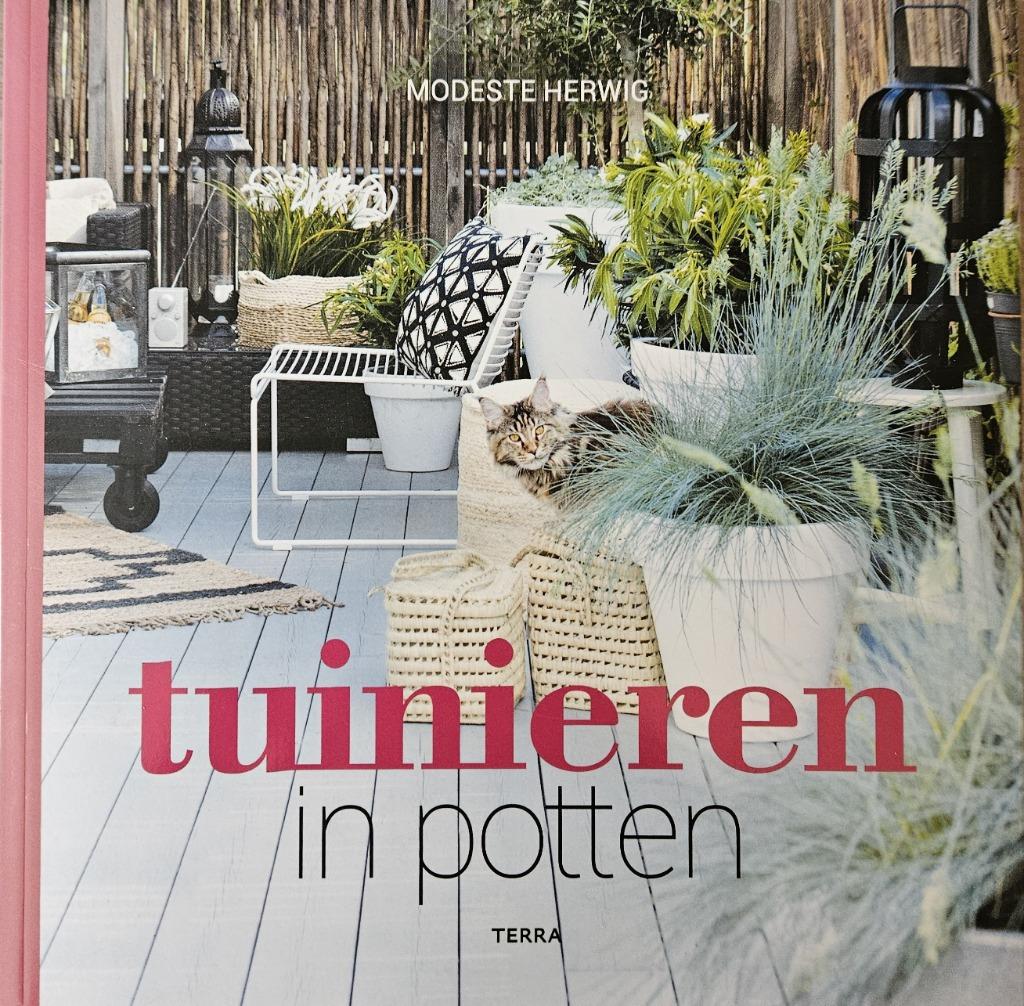 Tuinieren in potten - Modeste Herwig - 2018, Nieuw, Ophalen of Verzenden, Tuinieren en Tuinplanten, Modeste Herwig