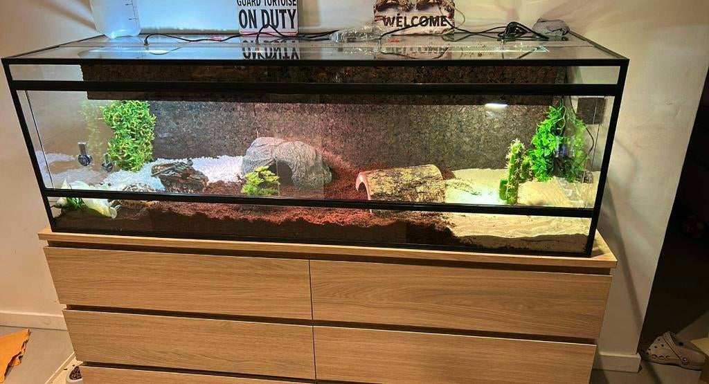 The Terrarium Specialist pas cher Regardez et comparez, Enlèvement ou Envoi, Neuf, Terrarium ou Paludarium