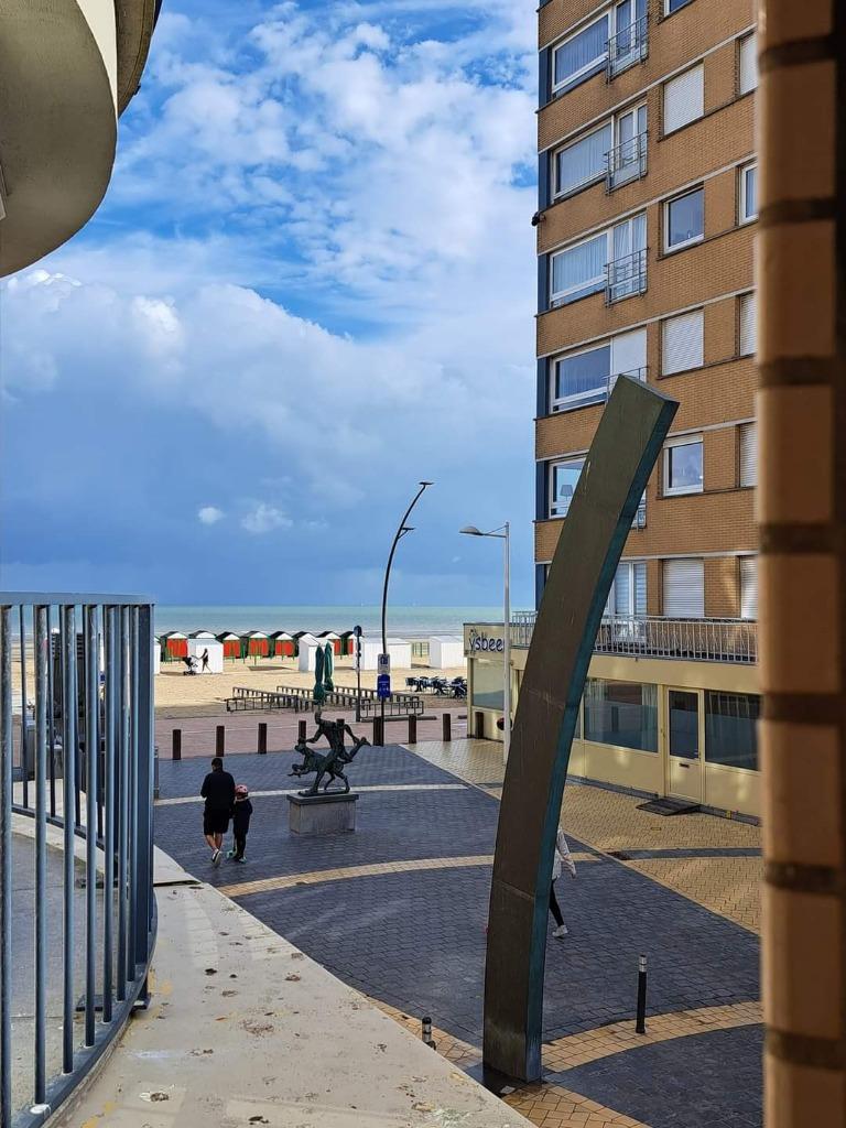 ️Location de vacances à la panne️, 50 m² ou plus, Province de Flandre-Occidentale