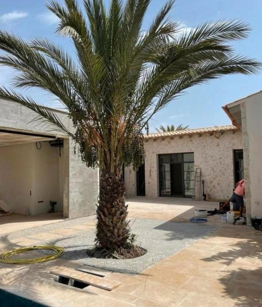 Bourgondische dallen tegels groot assortiment, Tuin en Terras, Bloempotten, Ophalen of Verzenden