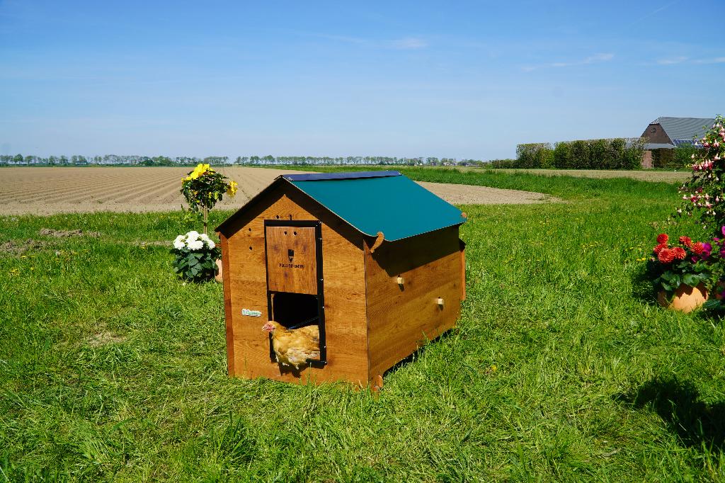 Trespa Kippenhok Cucciolotta Classic XL | Grondmodel, Enlèvement ou Envoi, Neuf, Poulailler