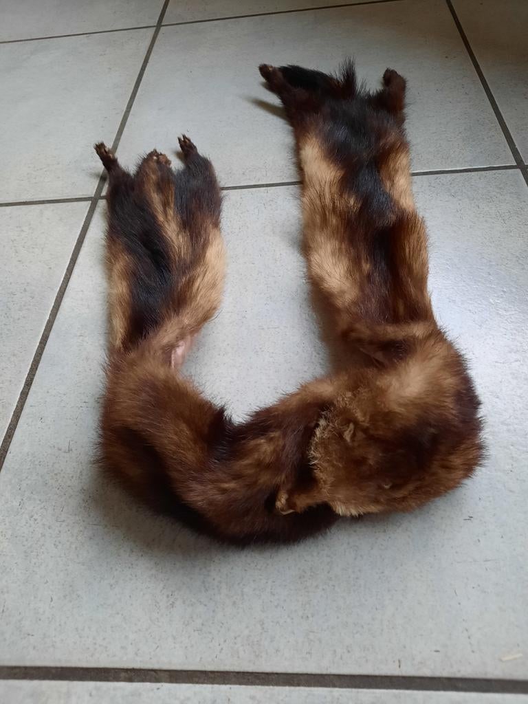 Écharpe en fourrure, Vêtements | Femmes, Enlèvement, Écharpe