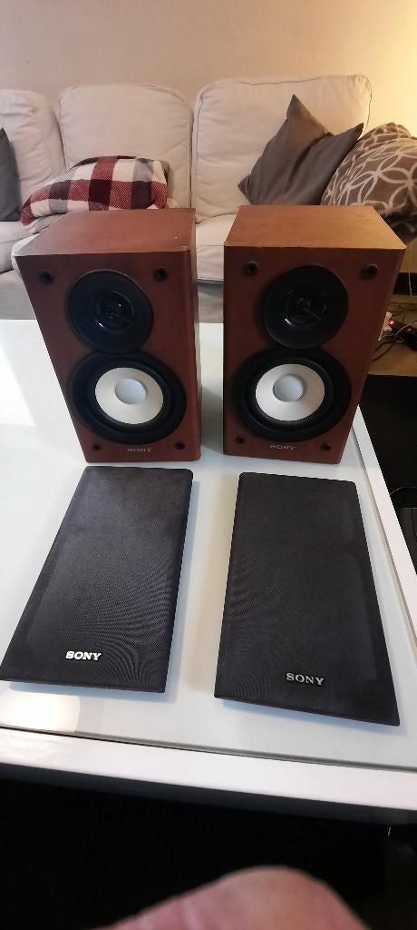 Baffle sony, TV, Hi-fi & Vidéo, Enceintes, Enlèvement, Sony