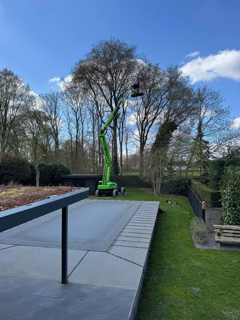 Couper/élaguer/retirer les souches, Jardin & Terrasse, Enlèvement