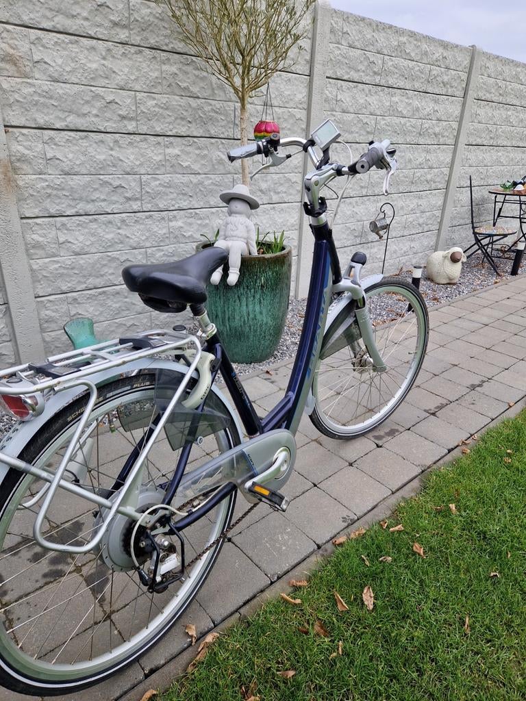 Elektrische fiets SPARTA, Fietsen en Brommers, Elektrische fietsen, Ophalen, Sparta