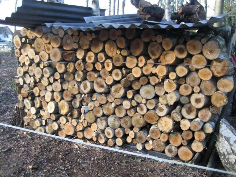 Brandhout Berk meer dan 6 kuub, Tuin en Terras, Brandhout, Ophalen, Berkenhout