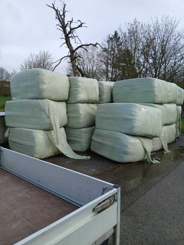 15 Grote pakken mooi gras voordroog te koop 120x90, Animaux & Accessoires, Nourriture pour Animaux, Enlèvement