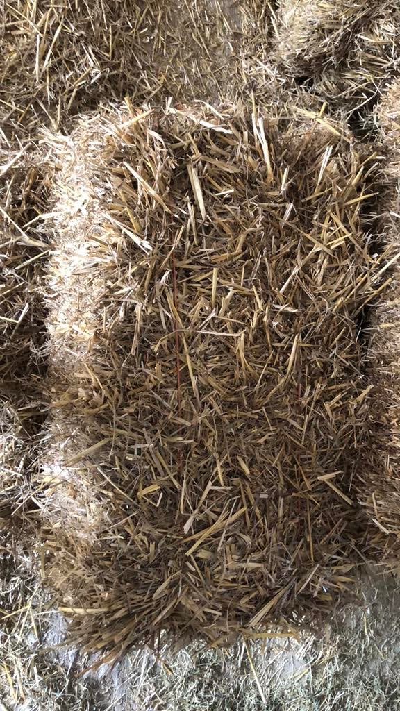 Tarwe stro, Enlèvement