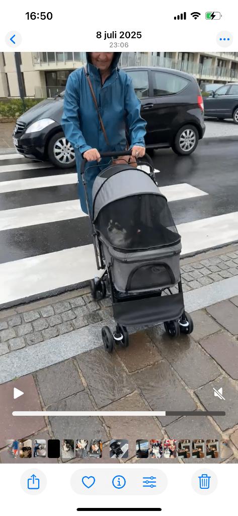 Te Koop : Hondenbuggy, Dieren en Toebehoren, Honden-accessoires, Ophalen, Zo goed als nieuw