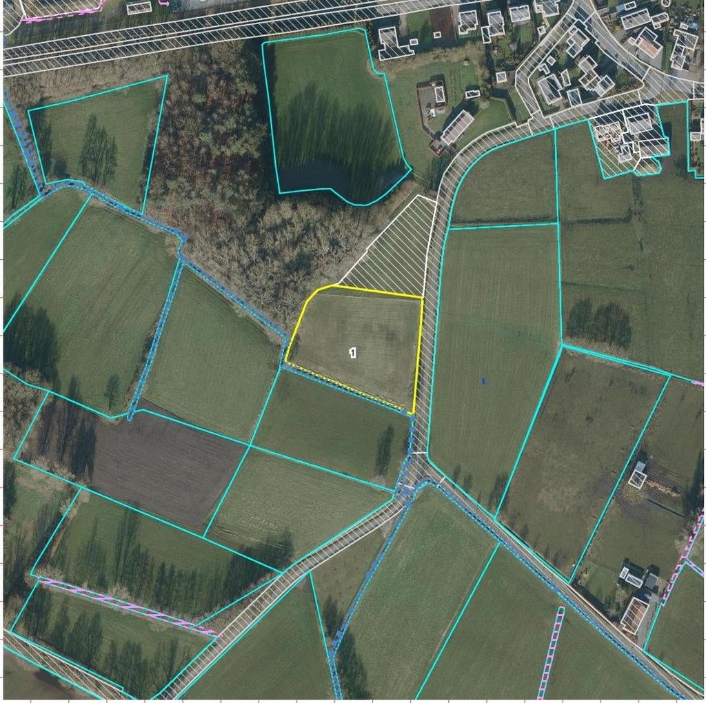 Te koop weiland 55 are., Dieren en Toebehoren, Stalling en Weidegang