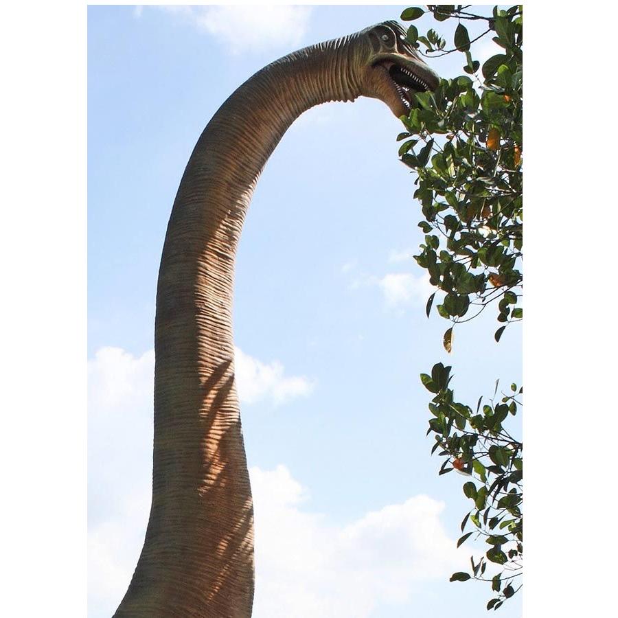 Braciosaurus – Dinosaurus beeld Lengte 547 cm, Ophalen, Nieuw