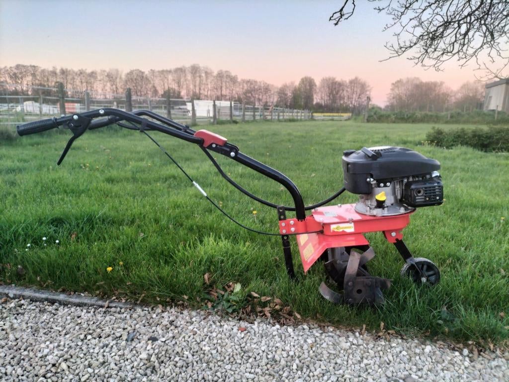 Tuinfrees, Rhodos, Comme neuf, Enlèvement, Essence
