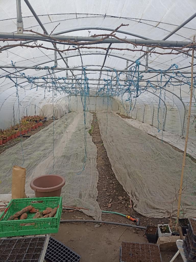 Serre, Film, Acier, Serre, Enlèvement