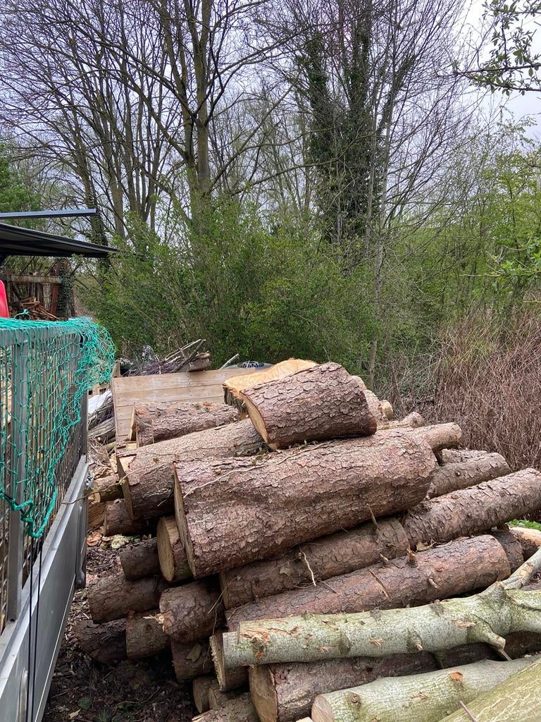 Bois de chauffage- sapin à donner, Tuin en Terras, Ophalen, Blokken