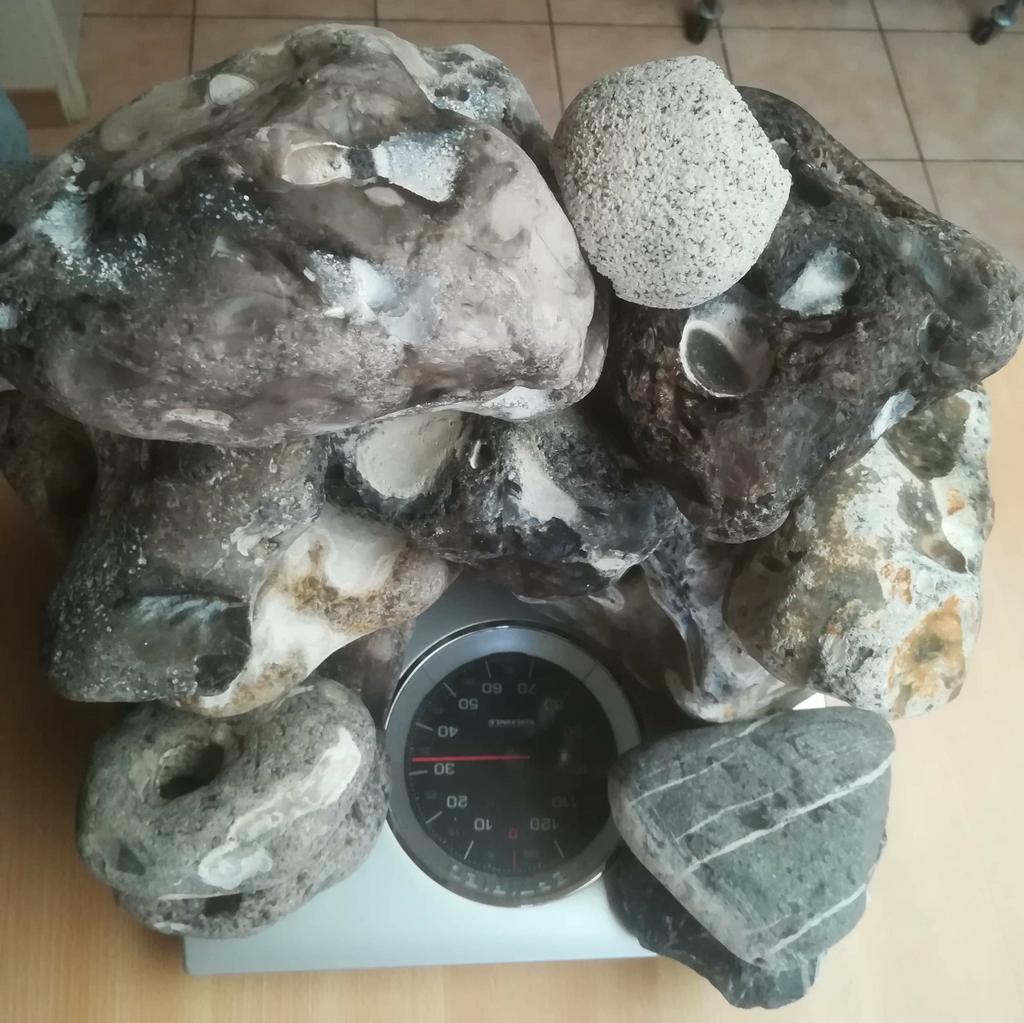 Meer dan 30kg al met doorzwem gaten, Ophalen, Zo goed als nieuw