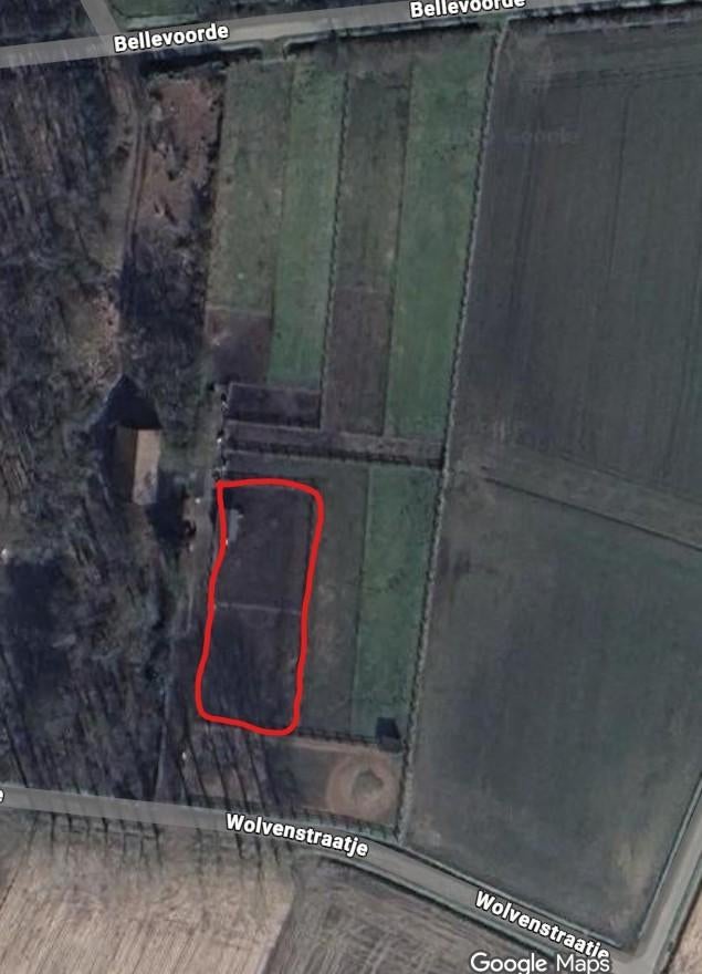 stalling met uitloop te huur in wetteren, Weidegang, 1 paard of pony