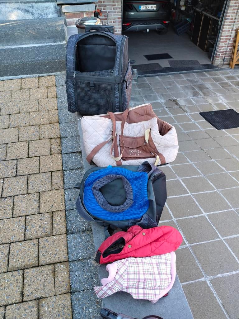 Alles voor een hondje in zeer goede staat, Ophalen of Verzenden