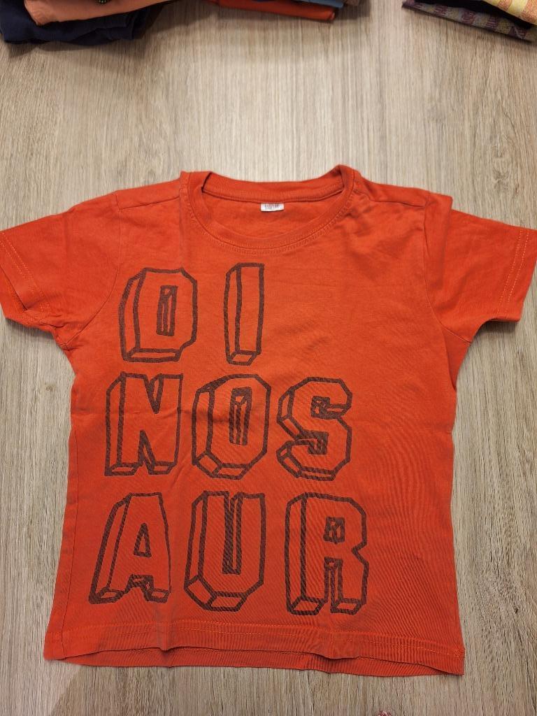 Diverse T-shirten maat 110, Ophalen of Verzenden, Zo goed als nieuw, Jongen, Shirt of Longsleeve
