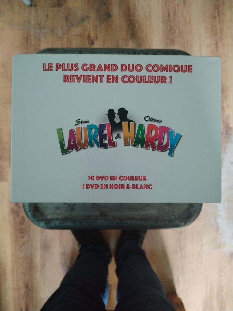 Laurel en Hardy – box 11 DVDs (Franse uitgave met Engelse au, Cd's en Dvd's, Alle leeftijden, Verzenden, Zo goed als nieuw, Boxset
