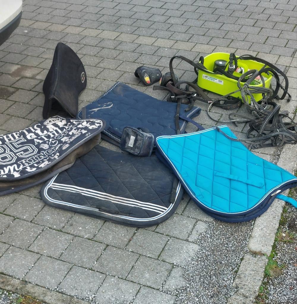 Articles équitation, Animaux & Accessoires