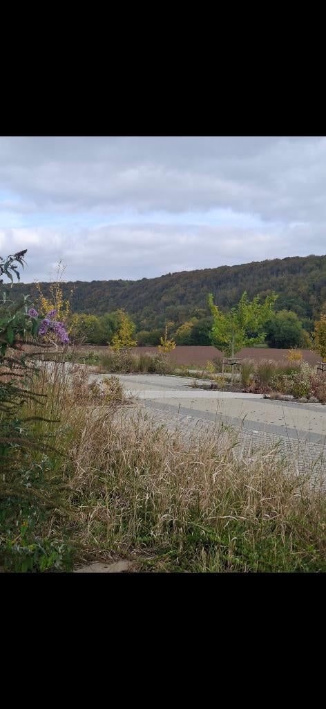 Massage en fonction des besoins  ., Contacts & Messages, Contact perdu & Recherche