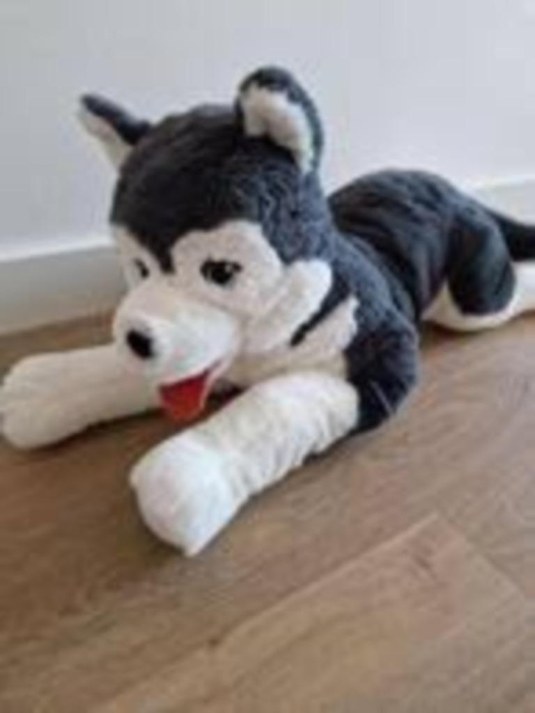 Knuffel Husky hond 57 cm, Enlèvement ou Envoi, Comme neuf, Chien
