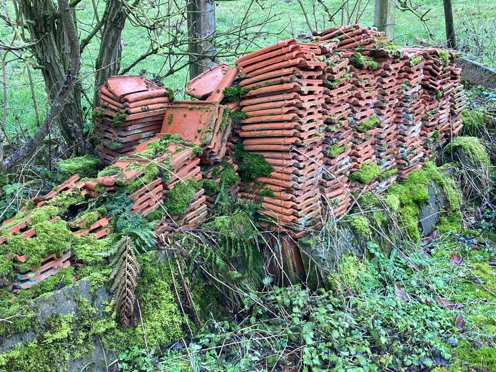 Grote partij dakpannen POTTELBERG en STERREBERG COURTRAI, Doe-het-zelf en Bouw, Ophalen, Dakpannen