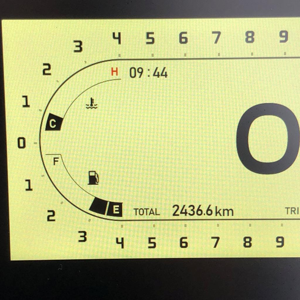 BENELLI LEONCINO TRAIL 800 BJ 2024 - foto 3