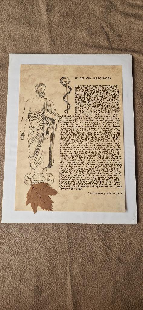 Kader met Eed van Hippocrates, Enlèvement, Comme neuf