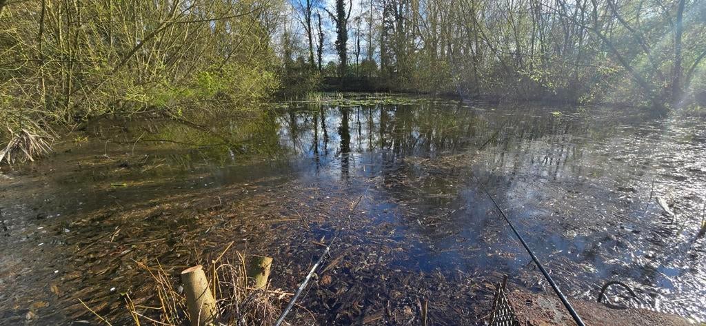 Natuurvijver voor herplaatsing of opvang vissen, Dieren en Toebehoren, Vissen | Vijvervissen