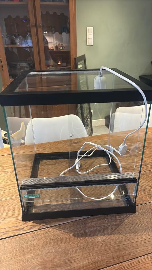 Terrarium 38/34, Animaux & Accessoires, Enlèvement, Comme neuf