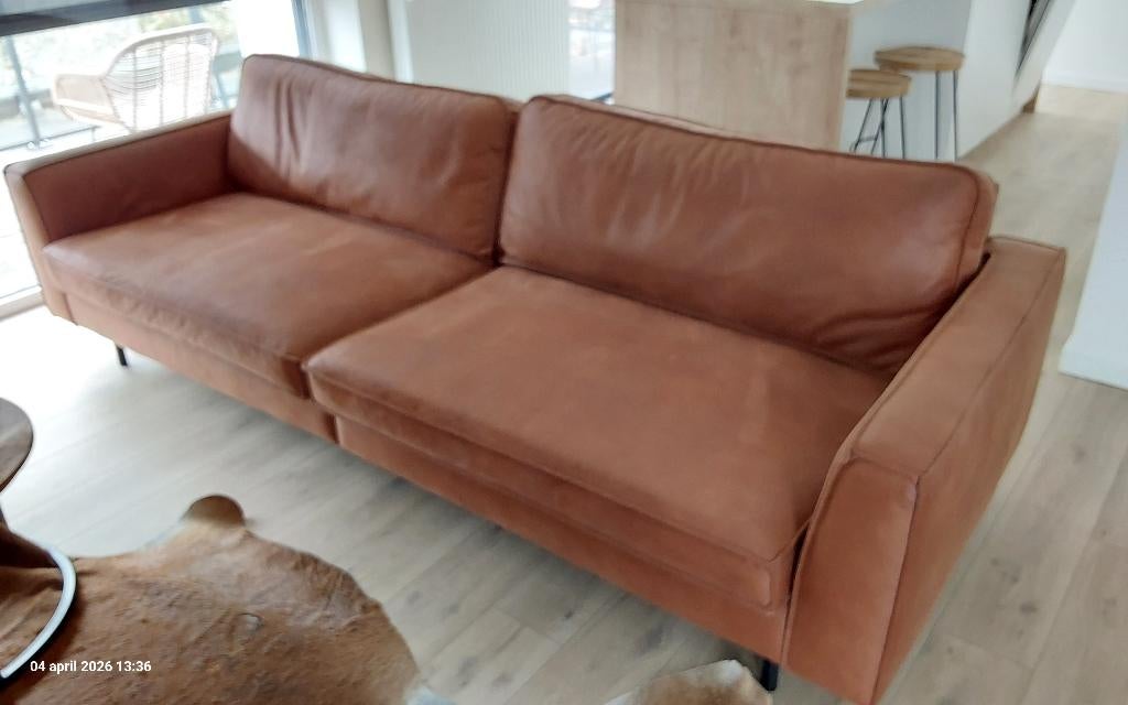 Zetel, 100 à 125 cm, 250 à 300 cm, Quatre personnes ou plus, Banc droit