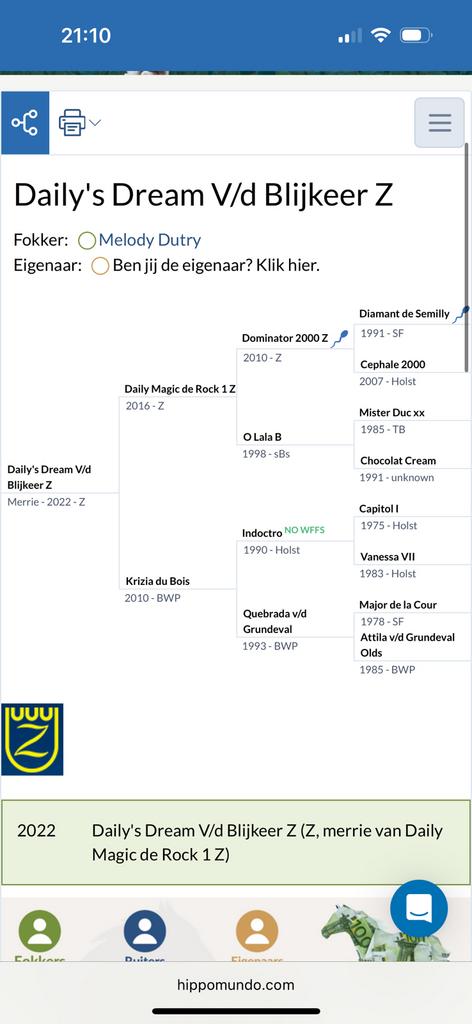 Bonte merrie met topafstamming, Avec pedigree, 160 à 165 cm, Non dressé, Cheval de saut