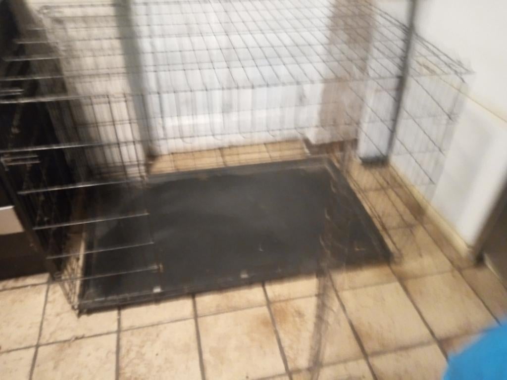 Grote honden bench v grote honden nu koopje 50e, Dieren en Toebehoren, Hondenbenches, Ophalen