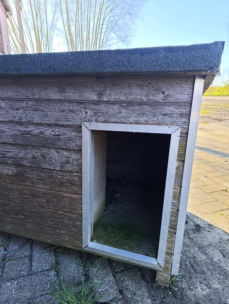 Hondenhok, Dieren en Toebehoren, Ophalen, Gebruikt, Hondenhok