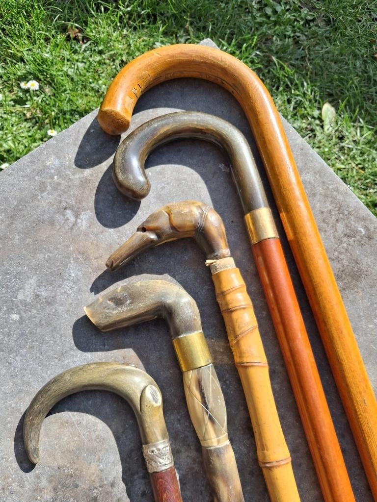 oude wandelstokken, Ophalen, Gebruikt