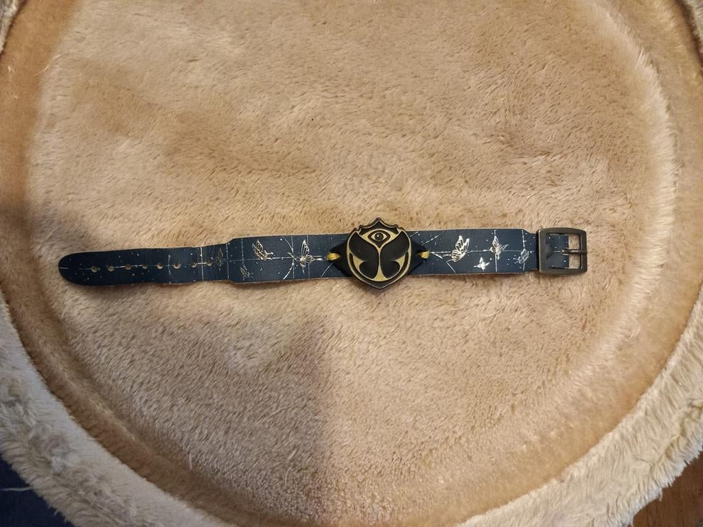 Tomorrowland winter 2026 regular, Ophalen of Verzenden