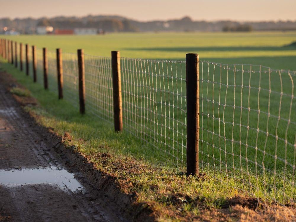 Piles de prairie fraisées de 2 m - DURA2, Pâturage