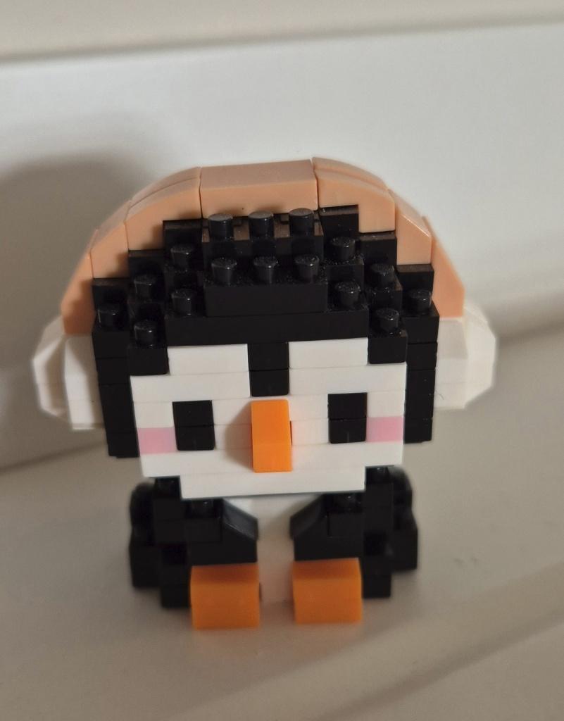 Mini-blokjes pinguin, Verzenden