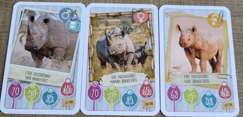 3 fotokaarten: neushoorns, 1980 tot heden, Ophalen of Verzenden, Zo goed als nieuw, Dier