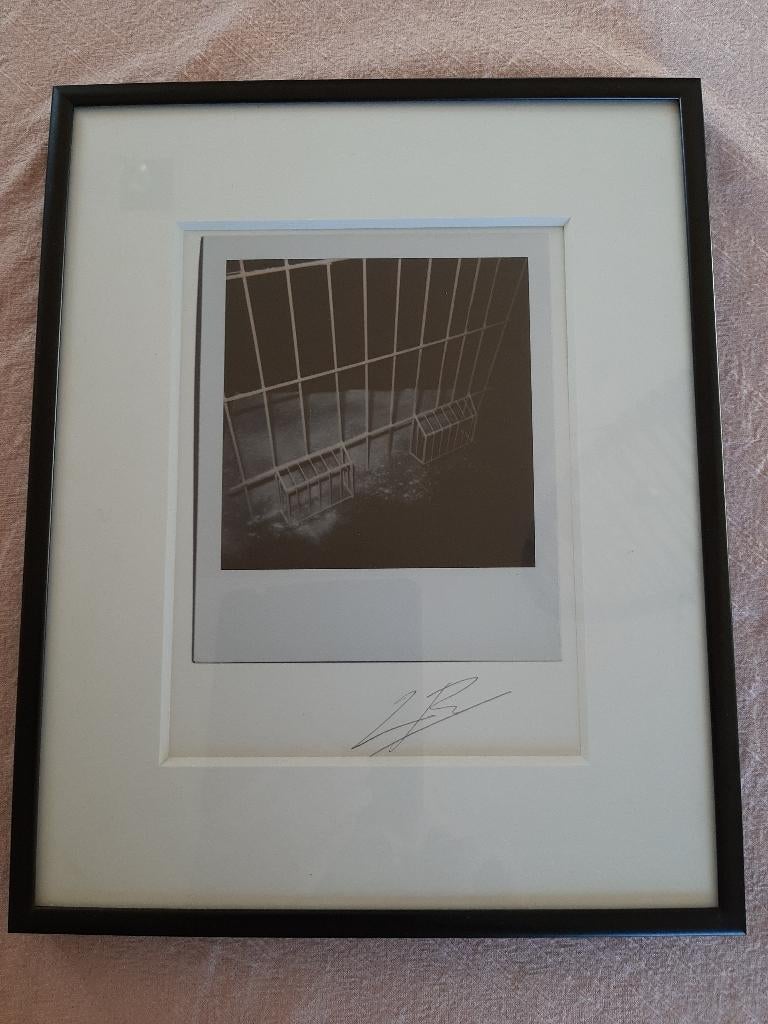 Luc Tuymans ‘Within’ (gesigneerd), Antiek en Kunst, Ophalen of Verzenden