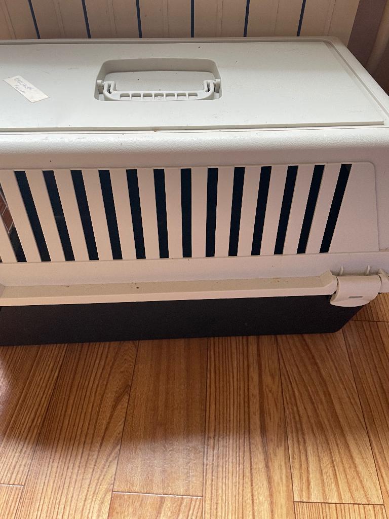 Caisse de transport pour chat, Enlèvement, Utilisé