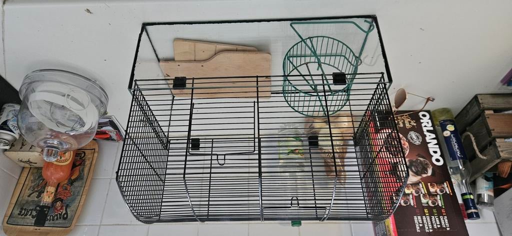 Knaagdierkooi, Kooi, Minder dan 75 cm, Zo goed als nieuw, Rat