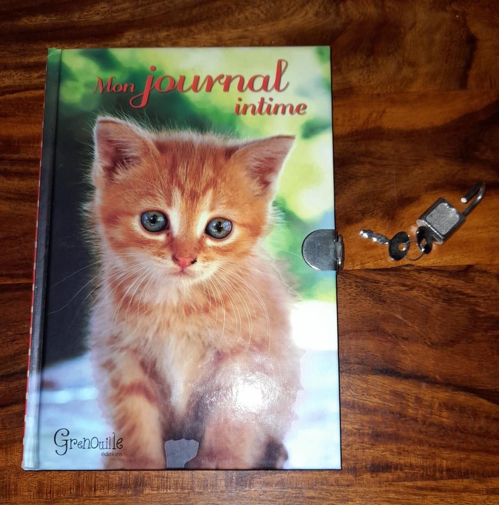 Journal intime, Collections, Illustrations de cahiers de poésies